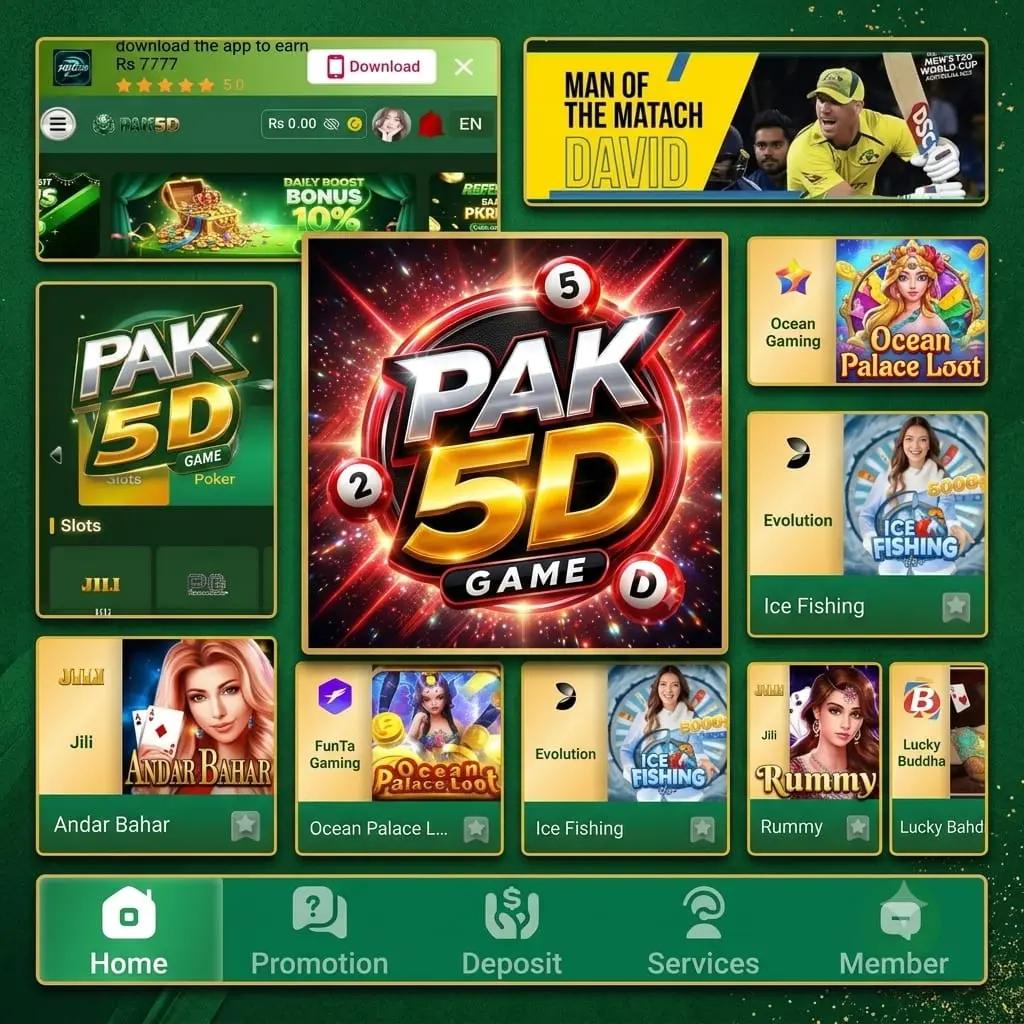 Pak5D Game